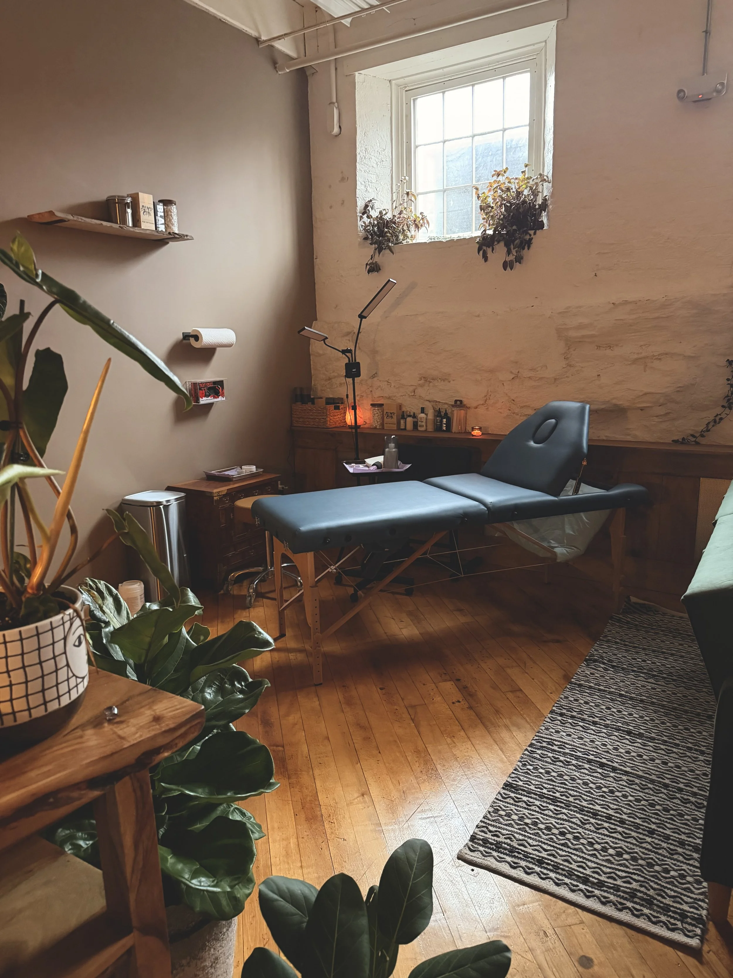 A treatment room with a black adjustable table, dual-arm LED lamp, hardwood floors, houseplants, and a large multi-pane window.