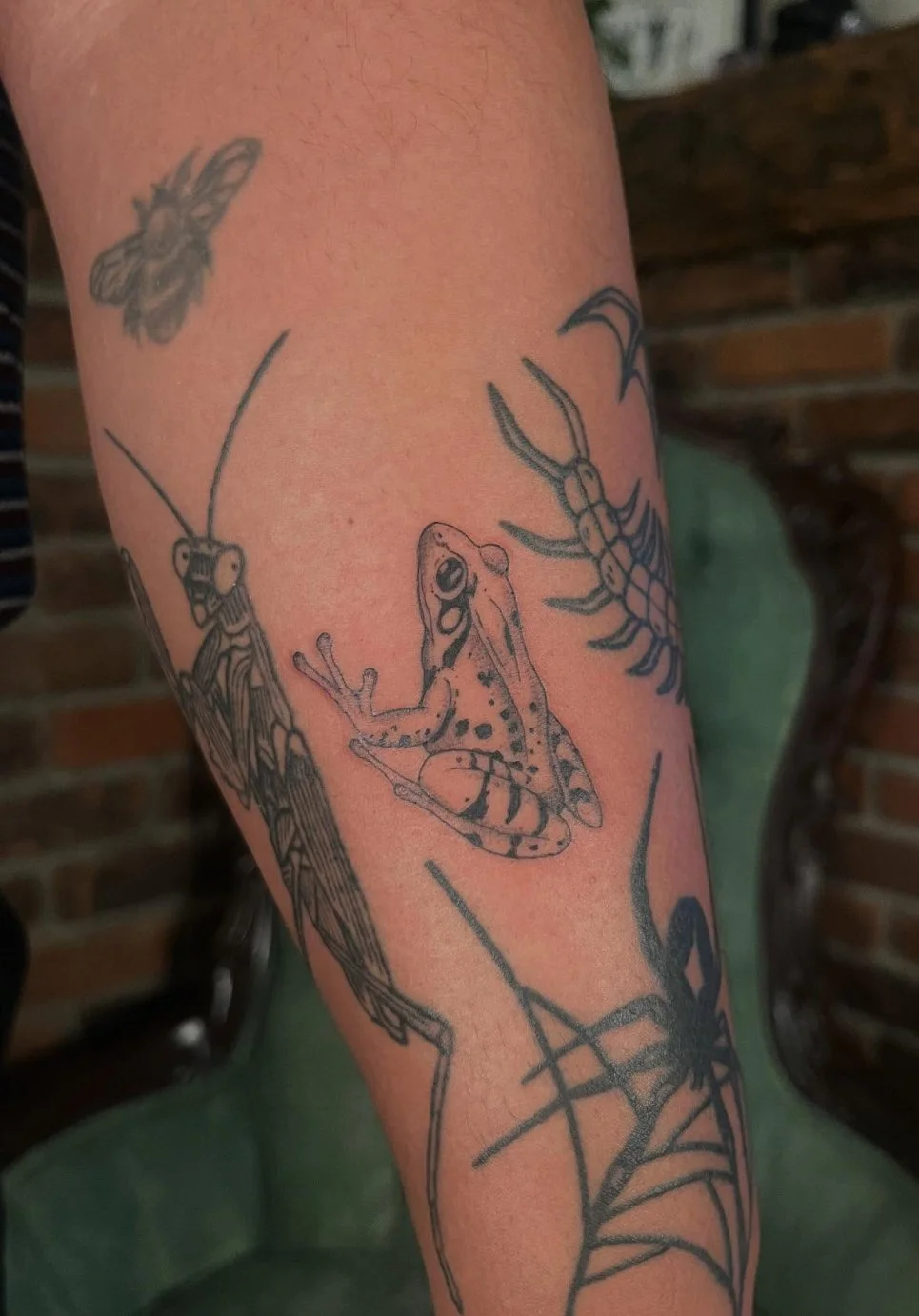 Frog, dragonfly, bee, scorpion, and spider tattoos