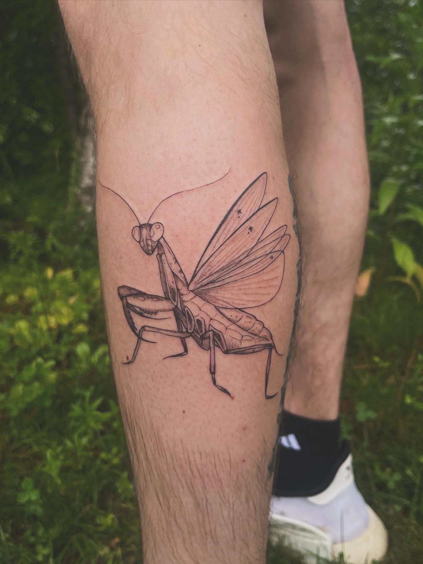 Praying mantis tattoo