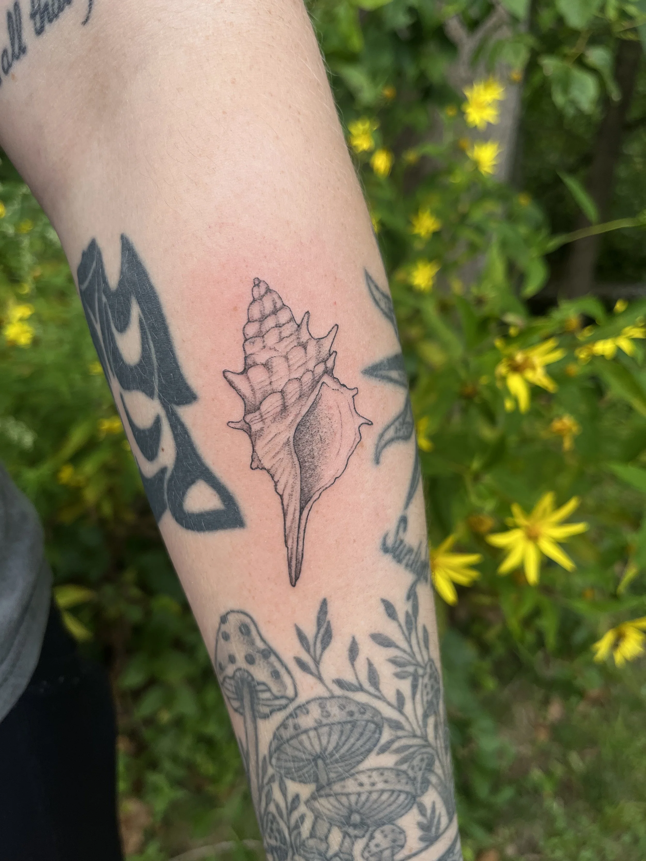 Fine-line tattoo on a client