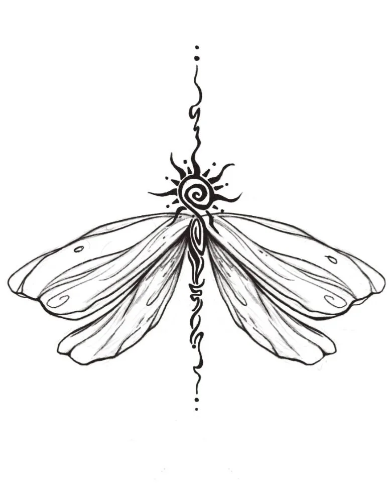 Moth drawing
