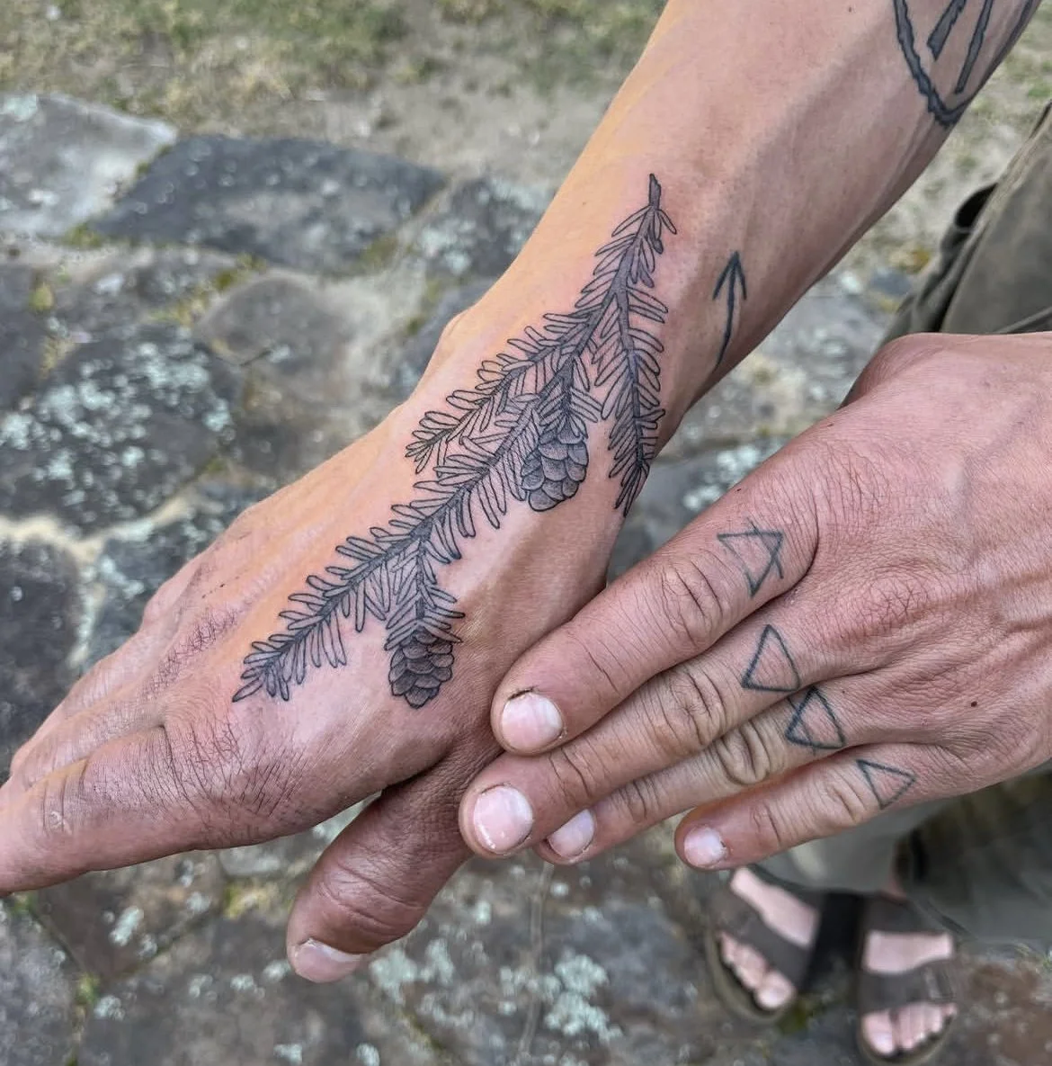 Pine and sacred geometry on hands